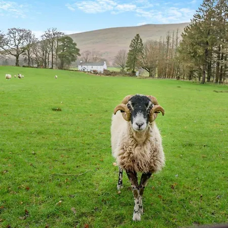 Ferienhaus 5 Bed In Sz270 Threlkeld